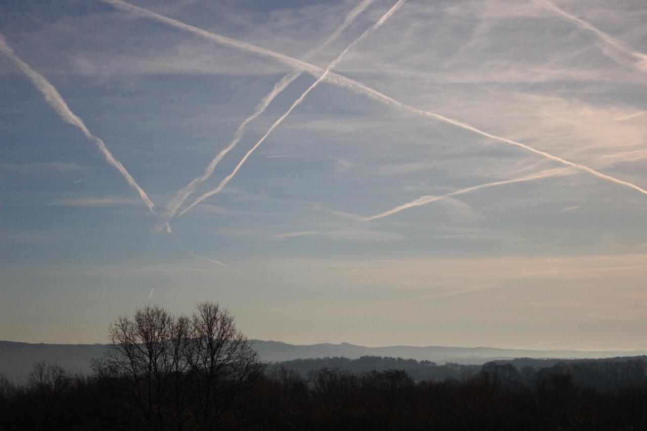 Blick Ueber Bonn Ins Siebengebirge Apartment ภายนอก รูปภาพ